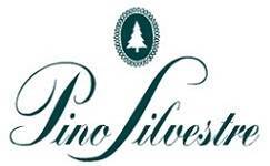 Pino Silvestre