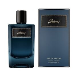 BRIONI Brioni Туалетные духи 100 мл, Тип: Туалетные духи, Объем, мл.: 100 