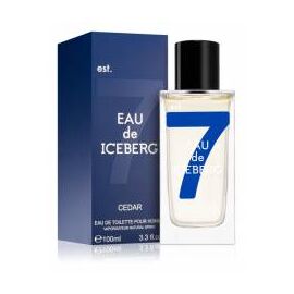 ICEBERG Eau de Iceberg Cedar Туалетная вода тестер 100 мл, Тип: Туалетная вода тестер, Объем, мл.: 100 