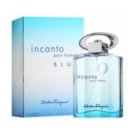 SALVATORE FERRAGAMO Incanto Blue Туалетная вода 100 мл, Тип: Туалетная вода, Объем, мл.: 100 