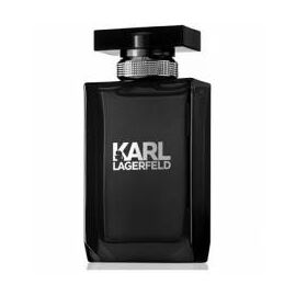 KARL LAGERFELD Karl Lagerfeld for Him Туалетная вода тестер 100 мл, Тип: Туалетная вода тестер, Объем, мл.: 100 