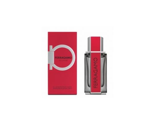 SALVATORE FERRAGAMO Red Leather Туалетные духи 100 мл, Тип: Туалетные духи, Объем, мл.: 100 
