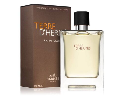 HERMES Terre d'Hermes Eau de Toilette Туалетная вода 100 мл, Тип: Туалетная вода, Объем, мл.: 100 