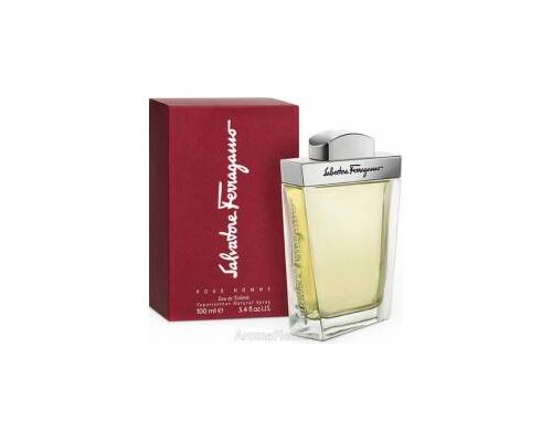 SALVATORE FERRAGAMO Salvatore Ferragamo Pour Homme Туалетная вода 100 мл, Тип: Туалетная вода, Объем, мл.: 100 