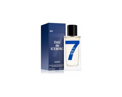 ICEBERG Eau de Iceberg Cedar Туалетная вода тестер 100 мл, Тип: Туалетная вода тестер, Объем, мл.: 100 