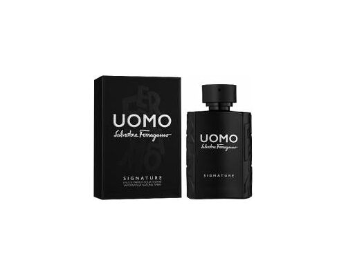 SALVATORE FERRAGAMO Uomo Signature Туалетные духи 100 мл, Тип: Туалетные духи, Объем, мл.: 100 